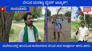 Virus Attack On Neem Tree At Raichur | ಬೇವಿನಮರಕ್ಕೆ ವಿಚಿತ್ರ ಕಾಯಿಲೆ ನೋಡಿ ಸ್ಥಳೀಯರು ಕಂಗಾಲು..!