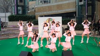 【ピンク・ベイビーズ / Pink Babies #6】スペシャルライブ＠2016-11-13 東京ハーヴェスト2016＠六本木ヒルズ