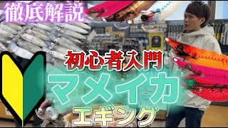 【初心者入門】マメイカ釣りのあれこれ徹底解説！【釣具屋スタッフが選ぶ道具仕立て】