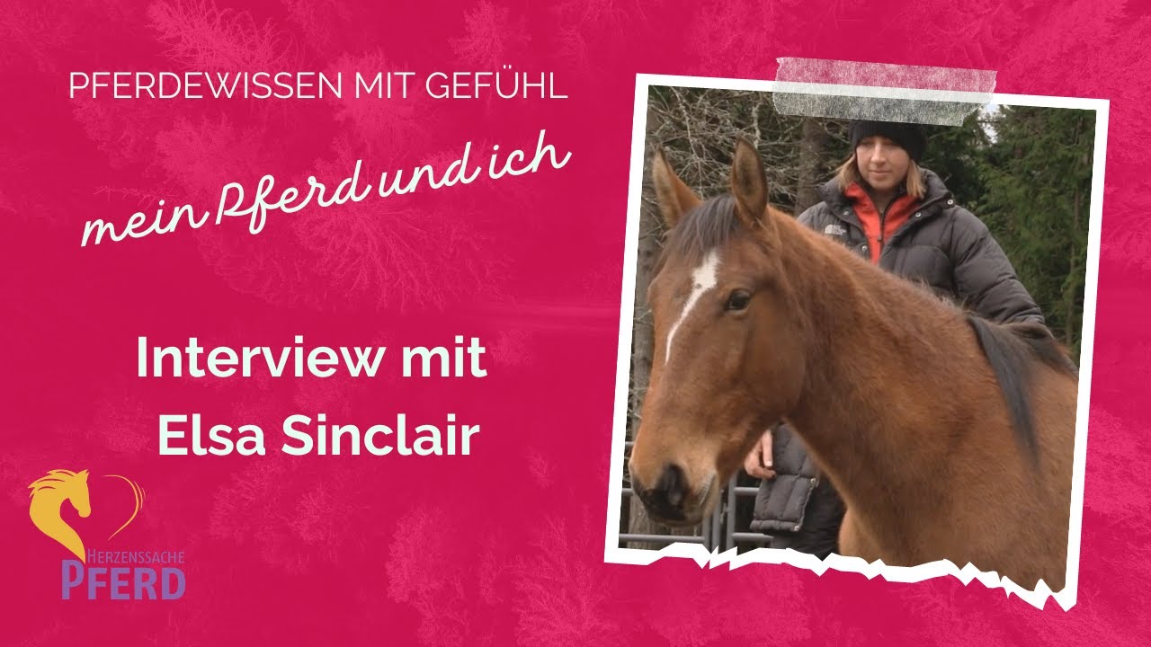 Elsa Sinclair über Die Grundsätzlichen Gedanken Zum Freedom Based