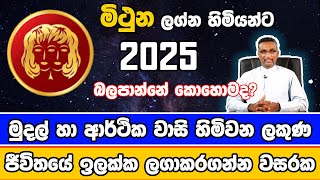 2025 වසර මිථුන ලග්නයට බලපාන්නේ කොහොමද? How will 2025 affect Gemini?