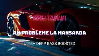 Miraj Tzunami - Am probleme la mansarda - BASS BOOSTED 1080p ULTRA DEEP CAR MUSIC