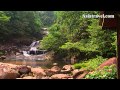 Kenyir Lake Terengganu, Malaysia by Asiatravel.com