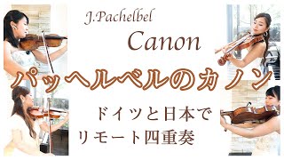 【Classic】パッヘルベルのカノンをドイツと日本でリモート四重奏| Canon in D by Johann Pachelbel–String Quartet