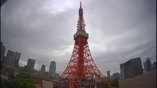 現在の東京タワーライブカメラ