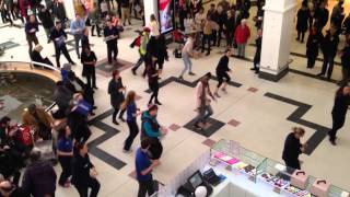 YMCA Flash Mob Part 2