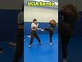 free your leg counter attack 🥊 sanda kickboxing kungfu wushu