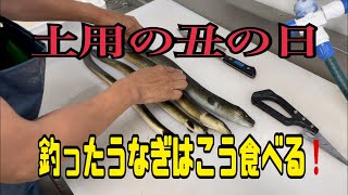 土用の丑の日　釣ったうなぎはこう食べる❗️編 vol.371