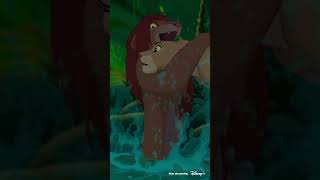 Can You Feel The Love Tonight (From "The Lion King") #Disney100 #Shorts