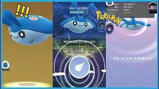 포켓몬고 7km알에서 타만타 드디어 부화했습니다 PVP 슈퍼리그 트리플킬 [Pokémon GO]