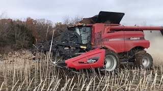 Sunflower Harvest 2019 | Spoor Farms