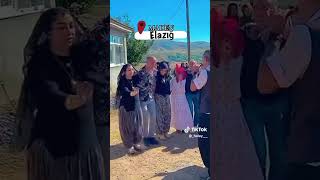 Elazığ halay halaybaşi delilo Grani Diyarbakır #keşfetteyiz #elazığ