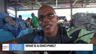 WHAT EXACTLY IS A GWO PWEL?