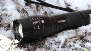 Farpoint 350 Lumen Tactical Flashlight 2-Pack