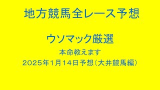 地方競馬（大井競馬）全レース予想！ウソマックが厳選した本命教えます。２０２５年１月１４日予想！