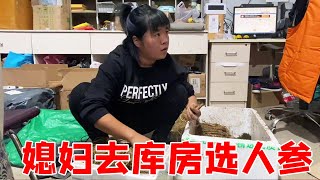 大清早俩孩子牵手去幼儿园，媳妇又去库房选人参，一天忙忙碌碌真充实【东北大龙】