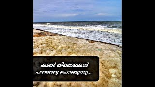 The Big Waves Of The Sea | കടൽ തിരമാലകൾ പതഞ്ഞു പൊങ്ങുന്നു