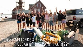 Ocean Alliance \u0026 Sea Shepherd Clean-Up The Paint Factory