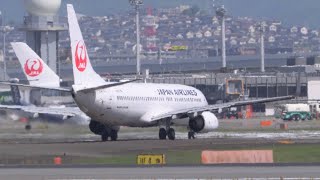 4.28 JAL機  離陸中止 待機から再離陸まで【 伊丹空港 JAL 2465 奄美行 737-800 】