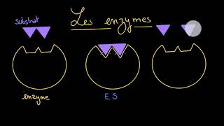 Les différents types de catalyseurs