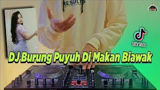 Download Lagu DJ BURUNG PUYUH BURUNG KETUT DI MAKAN BIAWAK TIKTO... MP3 Gratis