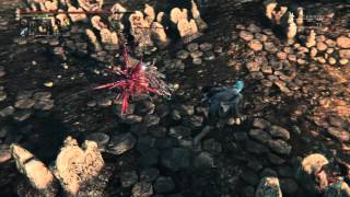 Bloodborne　血牛拳法家－對決放血者