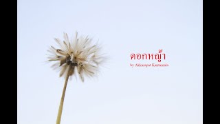 #sookniyom กับบทเพลง \