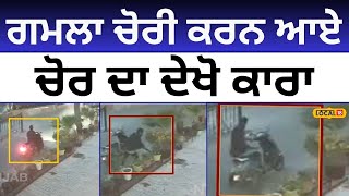 ਗਮਲਾ ਚੋਰੀ ਕਰਨ ਆਏ ਚੋਰ ਦਾ ਦੇਖੋ ਕਾਰਾ | Kapurthala | #local18