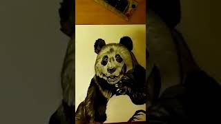 hyper realistic panda drawing | time lapse |#shorts |#creative |#youtubeshorts |#ytshorts |#drawing
