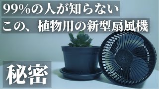 【超おすすめ】オシャレでカッコいい！植物育成用の小型送風機「Aechmea move（エクメアムーブ）」レビュー！首振り！タイマー付！リモコン付！観葉植物｜アガベ｜ビカクシダ｜塊根植物｜多肉植物｜実生