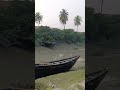 এই জায়গাটা পুরো সুন্দরবনের মতো দেখতে লাগছে😍😍 shorts village banglavlog viralshorts