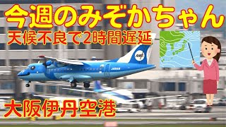 【大阪伊丹空港】今週のみぞかちゃん　2022.4.24