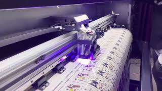 Roll to roll Uv i3200 | eco solvent printer