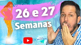 Como está o bebê com 26 e 27 semanas de gestação? Quais alterações são normais na gravidez?