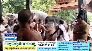 ശ്രീധരീയം ഔഷധീശ്വരി ക്ഷേത്രത്തില്‍ ആനയൂട്ട്