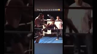The Greatest Knockout Ever