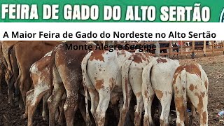 🐂💥 A Maior Feira de Gado do Alto Sertão Sergipano! 💥🐂 23 janeiro 2025