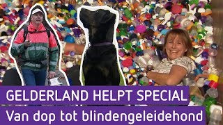 Van dop tot blindengeleidehond | Gelderland helpt