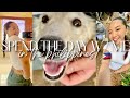 SPEND THE DAY W/ ME IN THE PHILIPPINES! | visiting family, adopting a dog, many animals, good eats