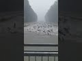 shenyang fishes dance in record rainfall. Шеньян рыбы танцуют под рекордный ливень .