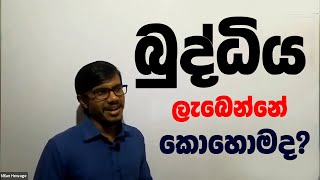 Buddiya labenne kohomda - බුද්ධිය ලැබෙන්නේ කොහොමද ?