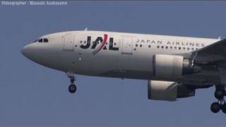 Japan Airlines (JAL) A300-600R JA8564 @ Haneda [20101002_1126]