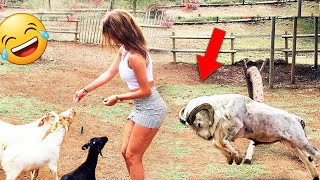 Funny Videos Compilation 🤣 Pranks - Amazing Stunts - By Happy Channel #23