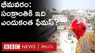 Bhimavaram: Why has this town become the center of Sankranti celebrations? What's so special about it?|BBC Telugu