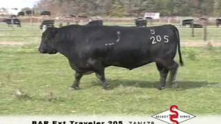 7AN178 BAR Ext Traveler 205.wmv