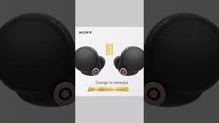 Sony WF-1000XM4 Noise Cancelling Earbuds