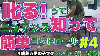 褒めて伸ばす！の言葉に苦しまず、叱るを知っていこう！