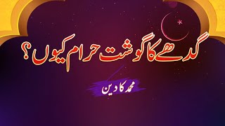 گدھے کا گوشت حرام کیوں؟| صحیح بخاری