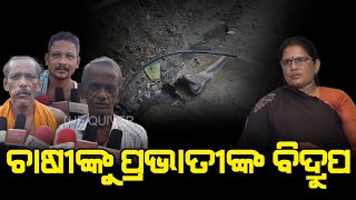 Canal having no water in DCM Pravati Parida constituency | କେନାଲ ଅଛି, ପାଣି ନାହିଁ  | The Quiver