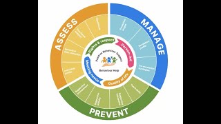 What is positive behaviour support?